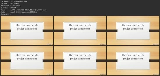 Certification Gestion De Projet : Devenir Un Chef De Projet