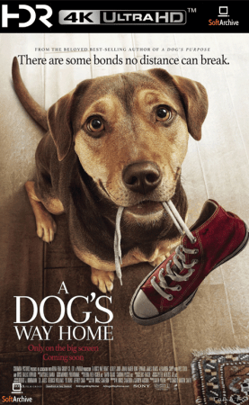 A Dogs Way Home 2019 HDR 2160p WEB H265-SLOT