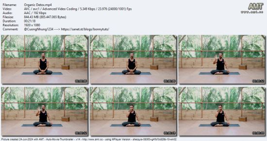 The Collective Yoga - Organic Detox