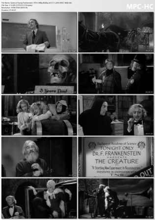 Young Frankenstein 1974 1080p BluRay AC3 5.1 x265 HEVC-Nb8