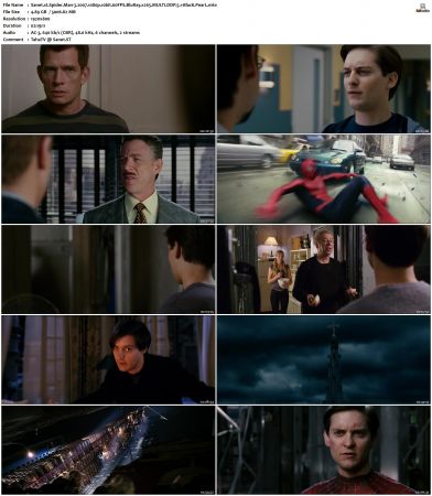 Spider-Man 3 2007 MULTI 1080p 10bit 60FPS BluRay x265-BlacK PearL