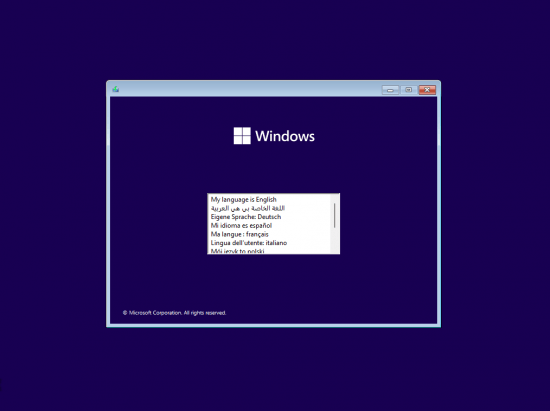 Windows 11 22H2 Build 22621.3737 9in1 Preactivated Multilingual