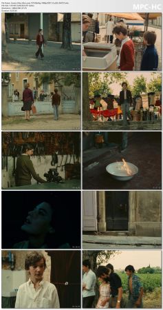 My Little Loves 1974 BluRay 1080p DDP 1.0 x265-SM737