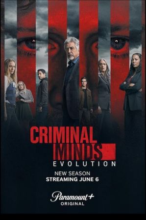 Criminal Minds S17E09 2160p WEB H265-SuccessfulCrab