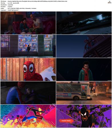 Spider-Man Into The Spider-Verse 2018 MULTI 1080p 10bit 60FPS BluRay x265-BlacK PearL