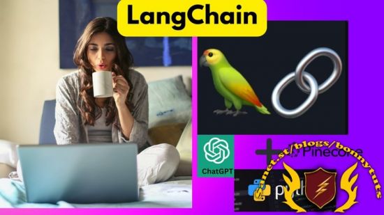 Master LangChain Build #16 AI Apps-OpenAI,LLAMA2,HuggingFace