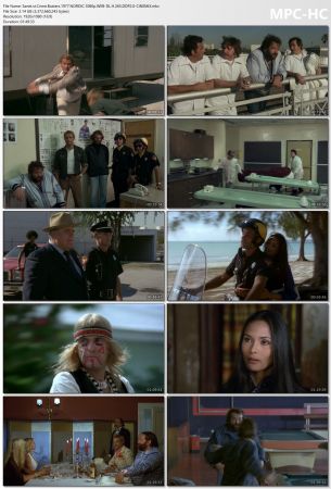 Crime Busters 1977 NORDiC 1080p WEB-DL H265 DDP 2.0-CiNEMiX