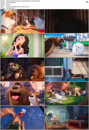 The Secret Life of Pets 2016 1080p BluRay DDP 7.1 x265-EDGE2020