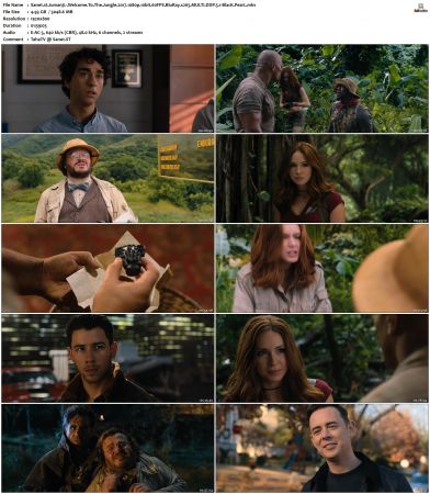 Jumanji Welcome To The Jungle 2017 MULTI 1080p 10bit 60FPS BluRay x265-BlacK PearL