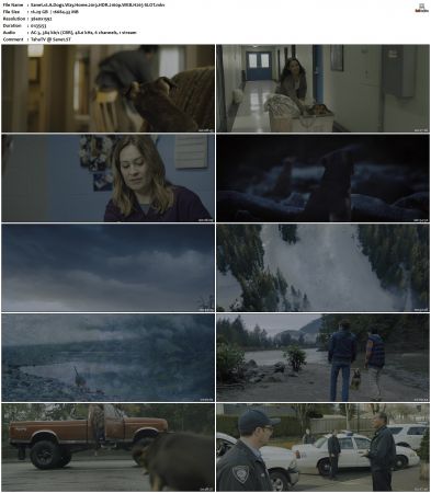 A Dogs Way Home 2019 HDR 2160p WEB H265-SLOT