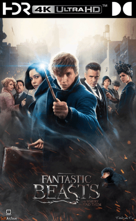 Fantastic Beasts and Where to Find Them 2016 2160p UHD BluRay x265 DV HDR DDP 7.1 DiscoD HONE