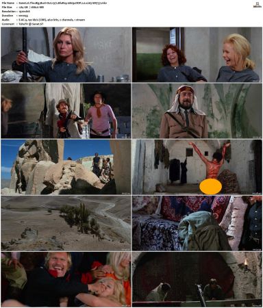 The Big Bust-Out 1972 BluRay 1080p DDP 2.0 x265-SM737