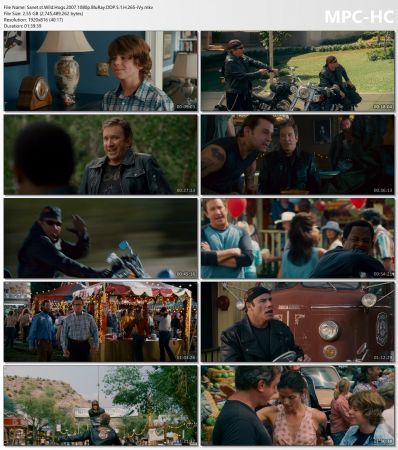 Wild Hogs 2007 1080p BluRay DDP 5.1 H265-iVy