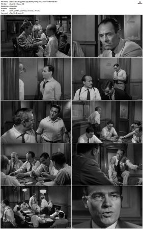 12 Angry Men 1957 BluRay 1080p AAC 1.0 x264-hallowed