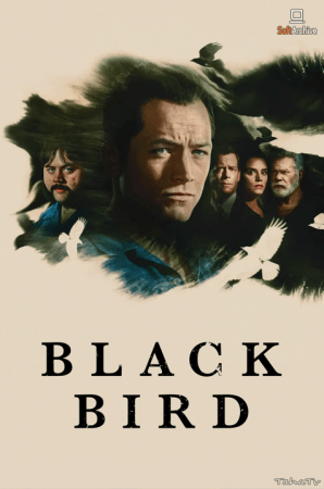 Black Bird S01 1080p WEBRip EAC3 5.1 x265-iVy