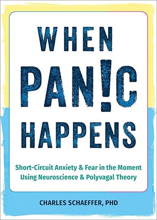 When Panic Happens: Short-Circuit Anxiety and Fear in the Moment Using Neuroscience and Polyvagal Theory