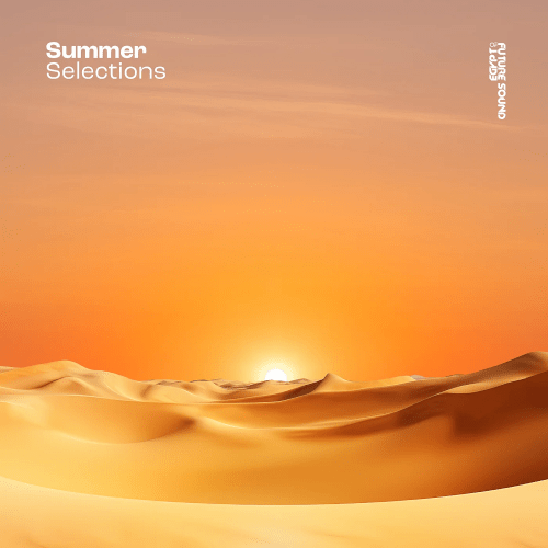 VA - FSOE Summer Selection (2024)
