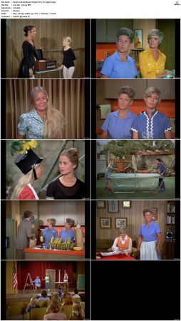The Brady Bunch S05 DVDRip x264-NGP
