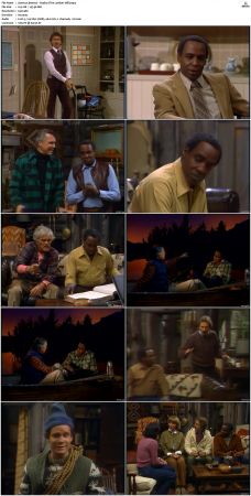 Benson S03 DVDRip x264-NGP