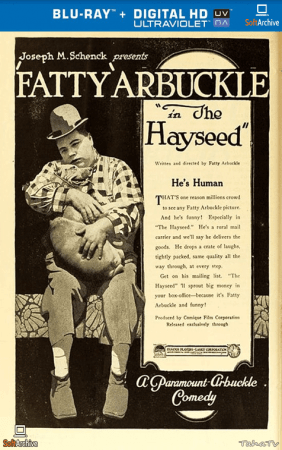 The Hayseed 1919 1080p BluRay x265-Garshasp