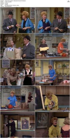 The Lucy Show S02 DVDRip x264-NGP