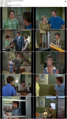 The Brady Bunch S02 DVDRip x264-NGP