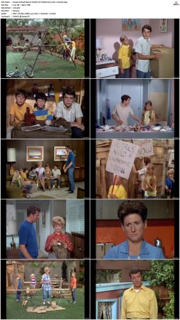 The Brady Bunch S01 DVDRip x264-NGP