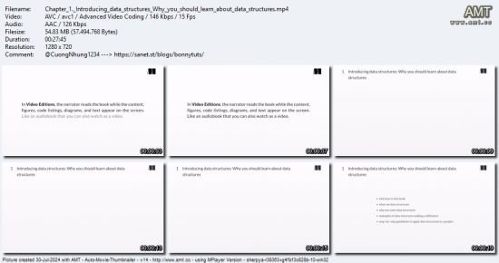 Grokking Data Structures, Video Edition