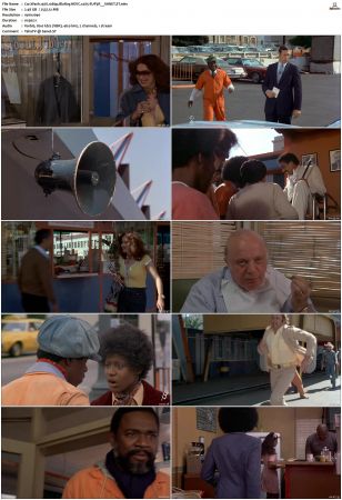 Car Wash 1976 1080p BluRay HEVC x265-SUP3R