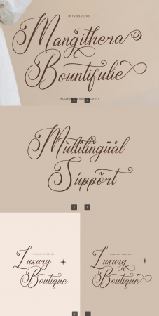 EE - Mangithera Bountifulie Modern Script Font YVQ6HUL