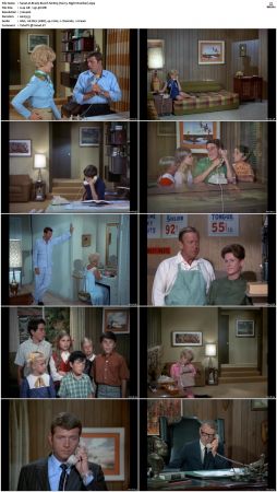 The Brady Bunch S01 DVDRip x264-NGP