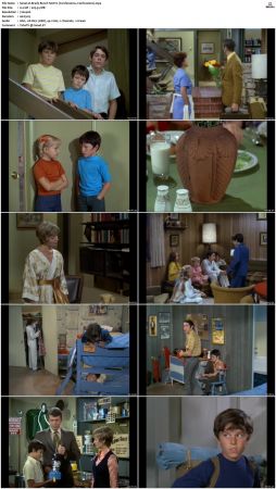 The Brady Bunch S02 DVDRip x264-NGP