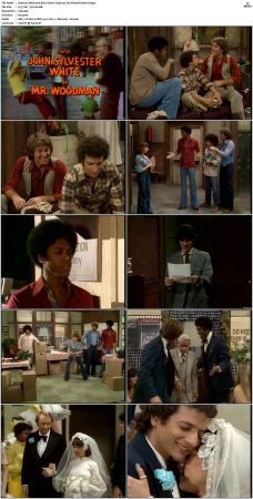 Welcome Back Kotter S04 DVDRip x264-NGP