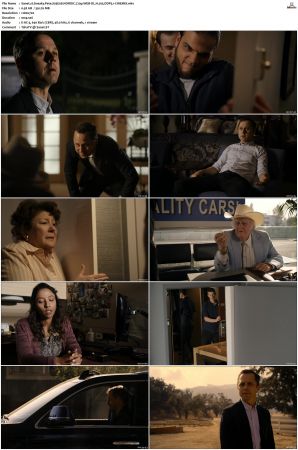 Sneaky Pete S03 NORDiC 720p WEB-DL H 265 DDP5 1-CiNEMiX