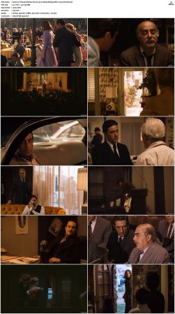 The Godfather Part II 1974 1080p BluRay HEVC x265-SUP3R
