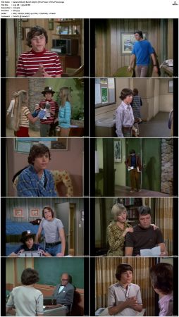 The Brady Bunch S03 DVDRip x264-NGP