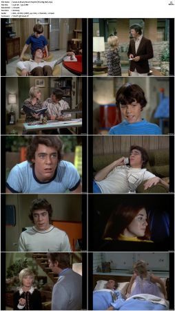 The Brady Bunch S03 DVDRip x264-NGP