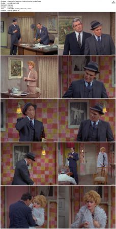 The Lucy Show S04 DVDRip MPEG-NGP