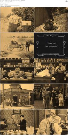 The Hayseed 1919 1080p BluRay x265-Garshasp