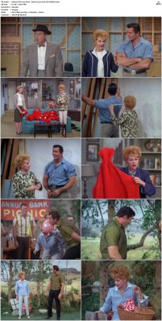 The Lucy Show S04 DVDRip MPEG-NGP