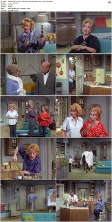 The Lucy Show S04 DVDRip x264-NGP