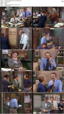 Barney Miller S02 DVDRip x265-NGP