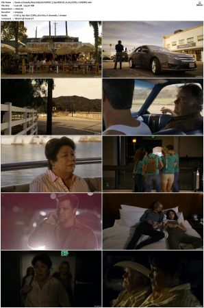 Sneaky Pete S03 NORDiC 720p WEB-DL H 265 DDP5 1-CiNEMiX