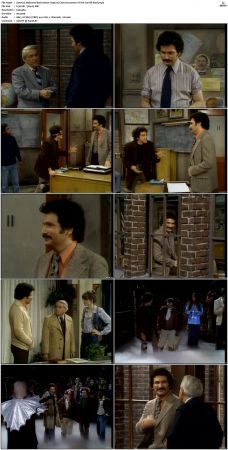 Welcome Back Kotter S03 DVDRip x264-NGP