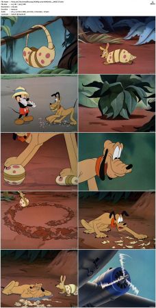 Pluto and The Armadillo 1943 DVDRip x264-HANDJOB
