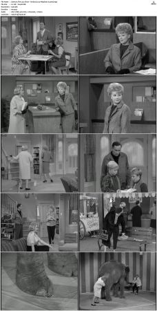 The Lucy Show S01 DVDRip x264-NGP
