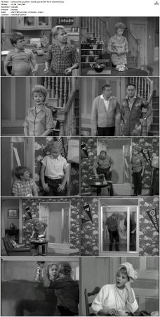 The Lucy Show S01 DVDRip x264-NGP
