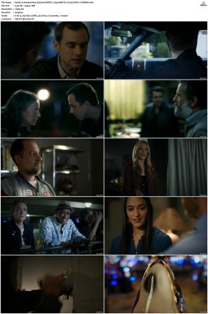 Sneaky Pete S02 NORDiC 720p WEB-DL H 265 DDP5 1-CiNEMiX