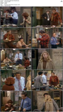 Barney Miller S03 DVDRip x264-NGP