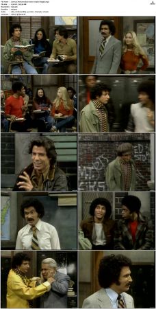 Welcome Back Kotter S03 DVDRip x264-NGP
